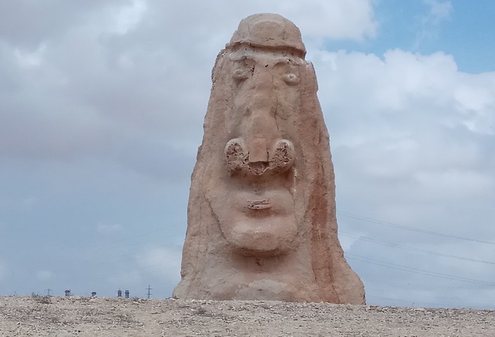 страж негев страж негев