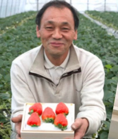 автор клубники автор клубники