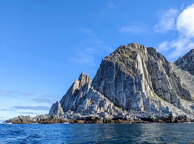 дикая природа