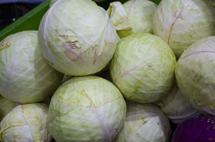 белокачанная капуста