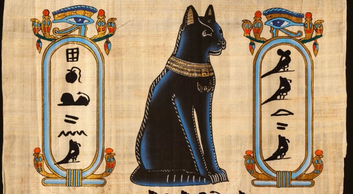 статус кошек