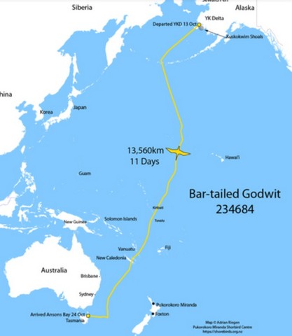 маршрут перелета