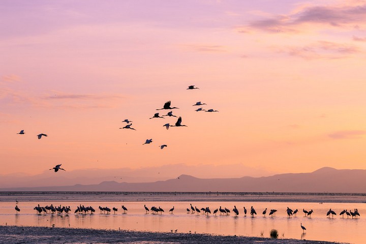 натрон натрон