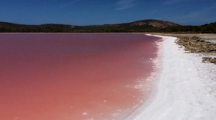 хиллиер хиллиер