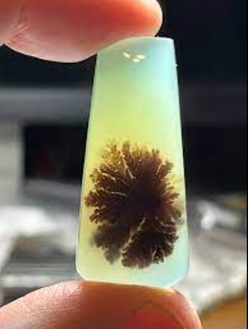 редкий эксперимент фишера редкий эксперимент фишера