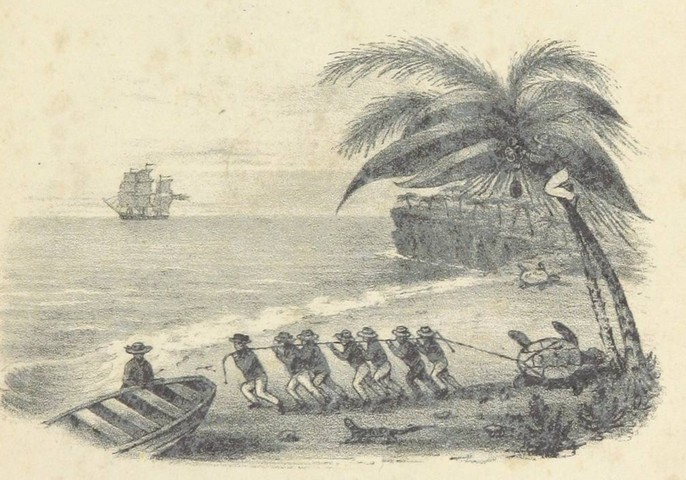 острова где нельзя жить острова где нельзя жить