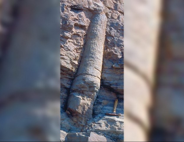 застывшая труба