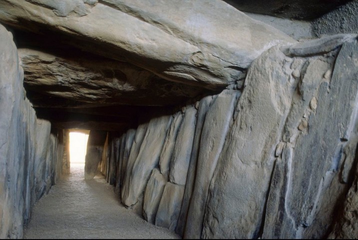 центральная камера центральная камера