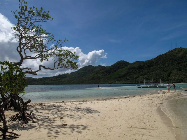остров палавана остров палавана