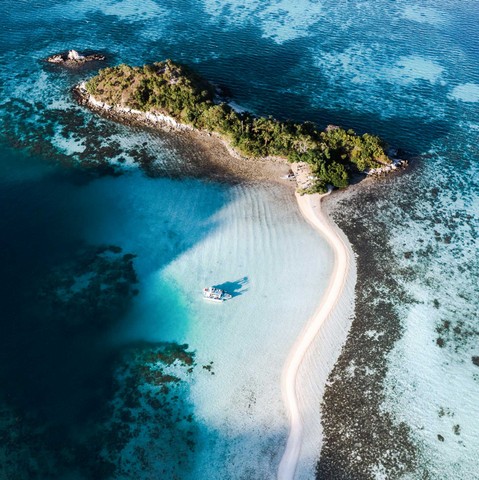 змеиный остров змеиный остров