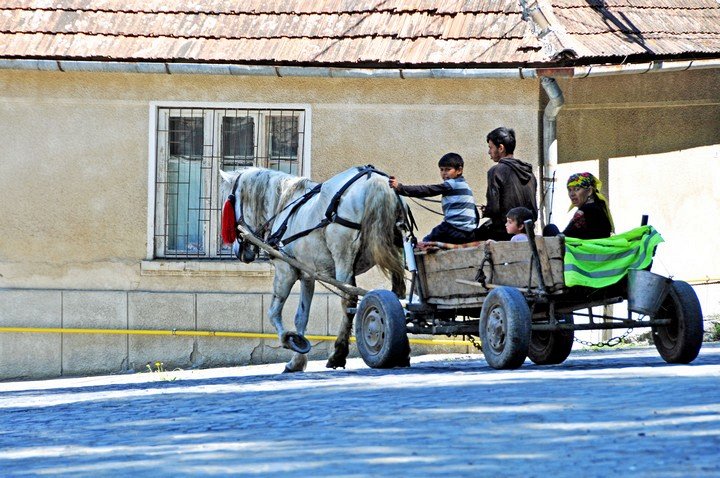 лошадь с повозкой лошадь с повозкой