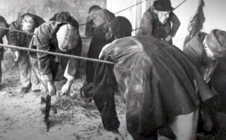 веревка за 2 пенни веревка за 2 пенни