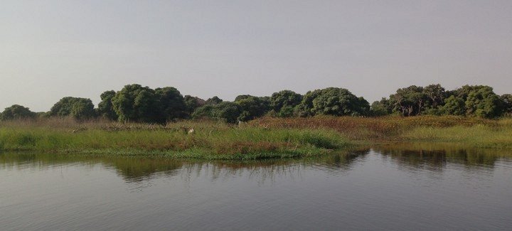 берега Чада берега Чада