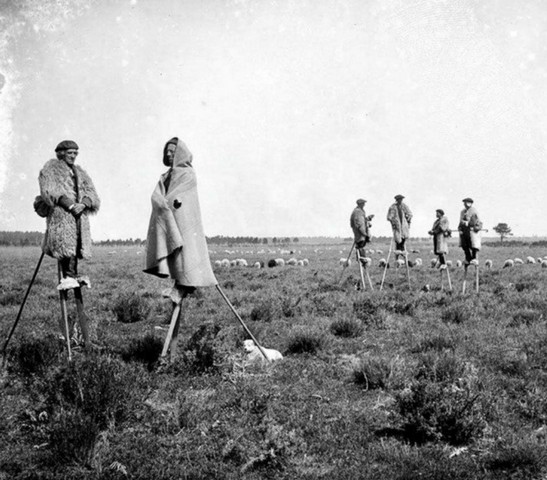 народ на ходулях народ на ходулях