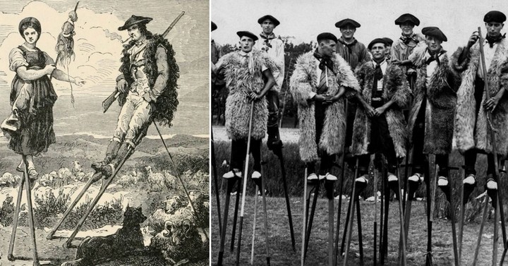 ландцы ландцы