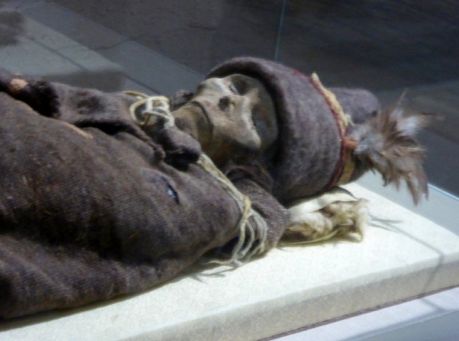 таримская мумия таримская мумия