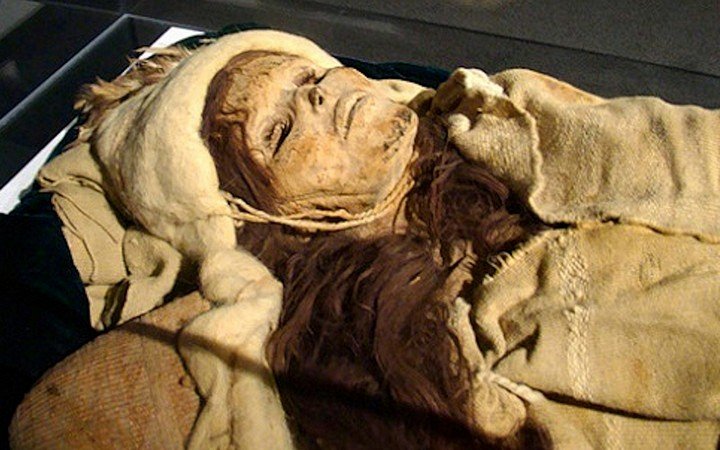 тарим тарим