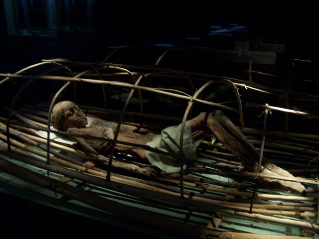 тарим тарим