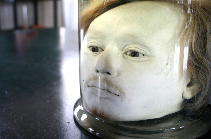 голова в формалине