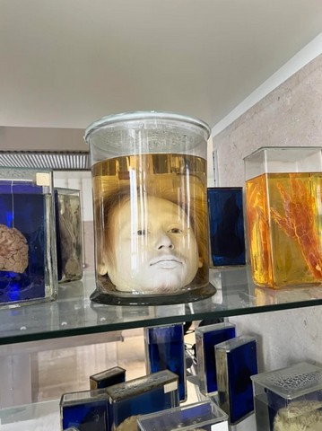 музей где хранится голова музей где хранится голова