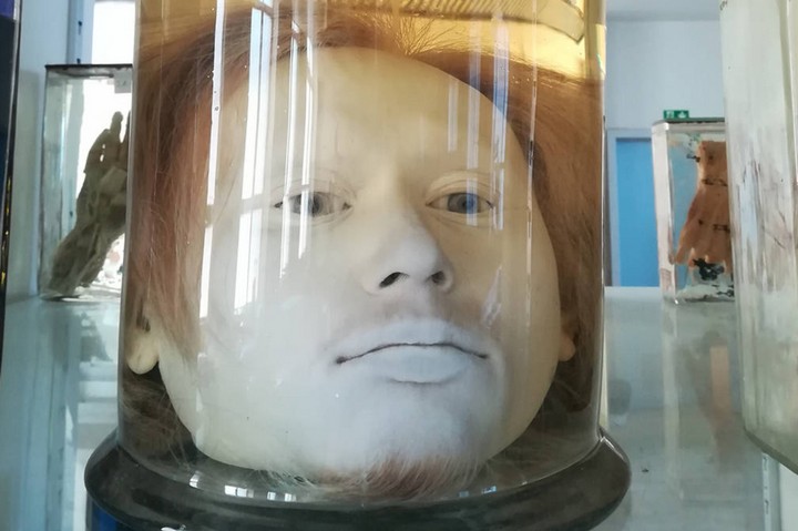 голова диогу алвеша голова диогу алвеша