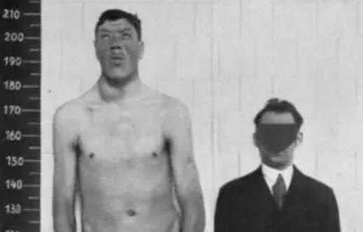 райнер райнер