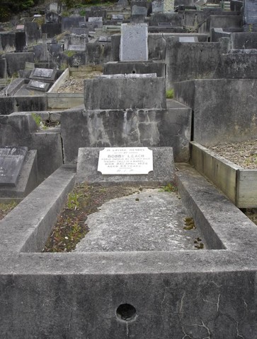 нелепая смерть бобби лича