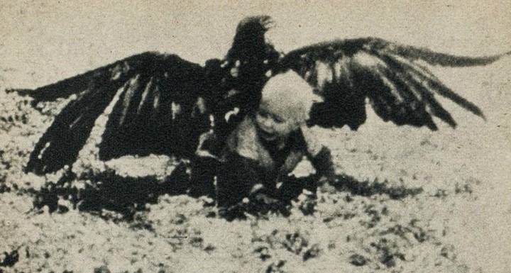 орел похитил ребенка орел похитил ребенка