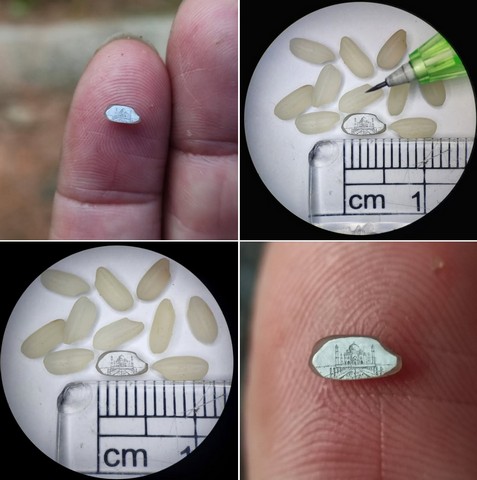 рисунки на рисовых зернах рисунки на рисовых зернах