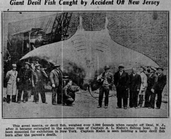 газетная вырезка газетная вырезка