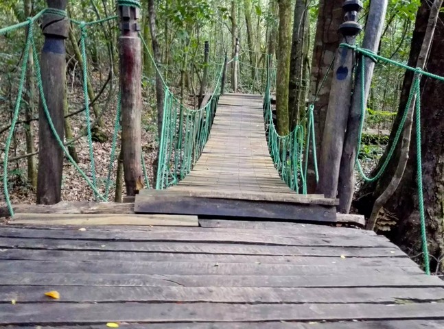 деревянный мостик