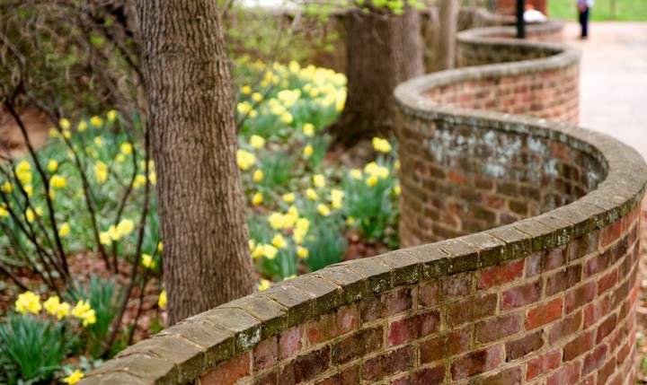 волнообразные стены