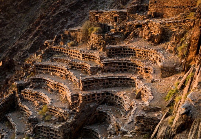 древняя пасека