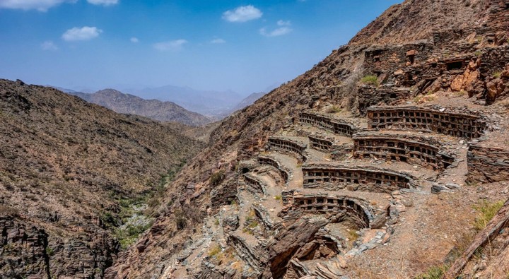 город ульев