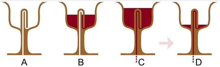 пифагорова чаша пифагорова чаша