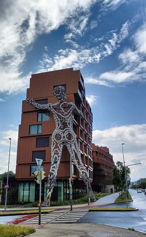 Творение давида черны