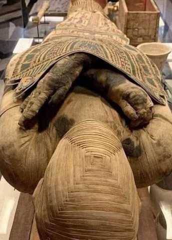 идеальная мумификация идеальная мумификация