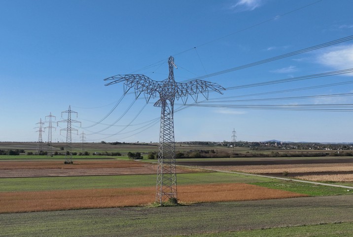 столбы в форме животных столбы в форме животных