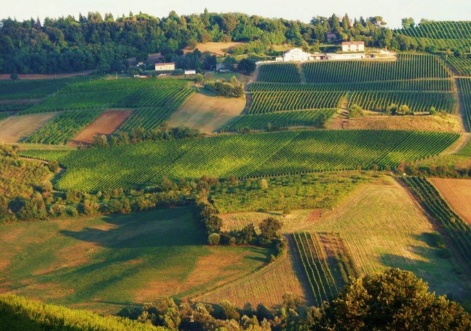 живописные окрестности