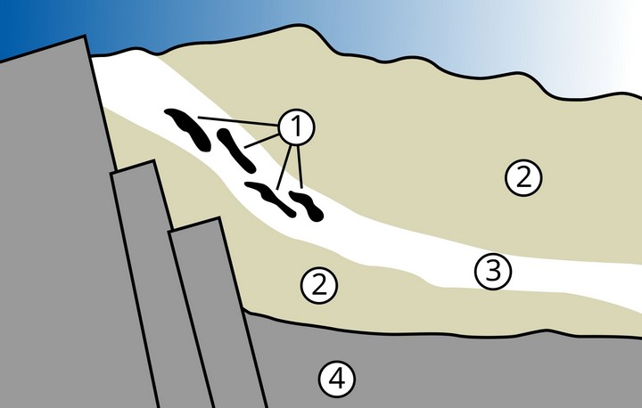 схема формирования реактора