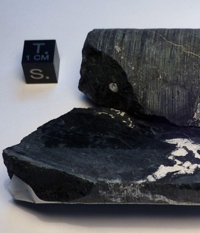 порода для исследования