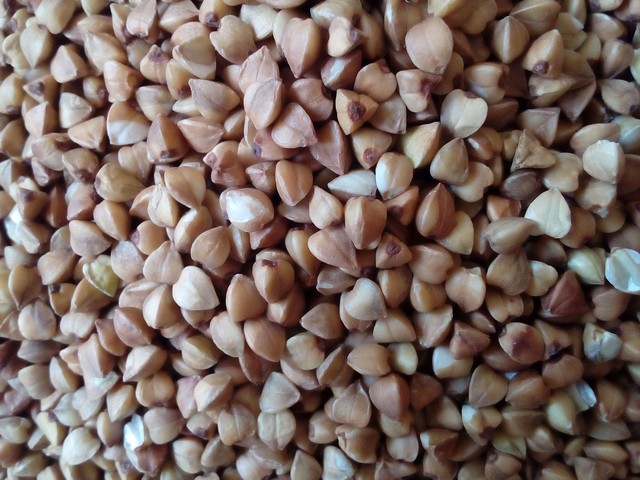 гречневая каша — древний злак