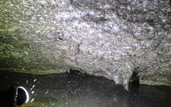 стена из паутины в греции