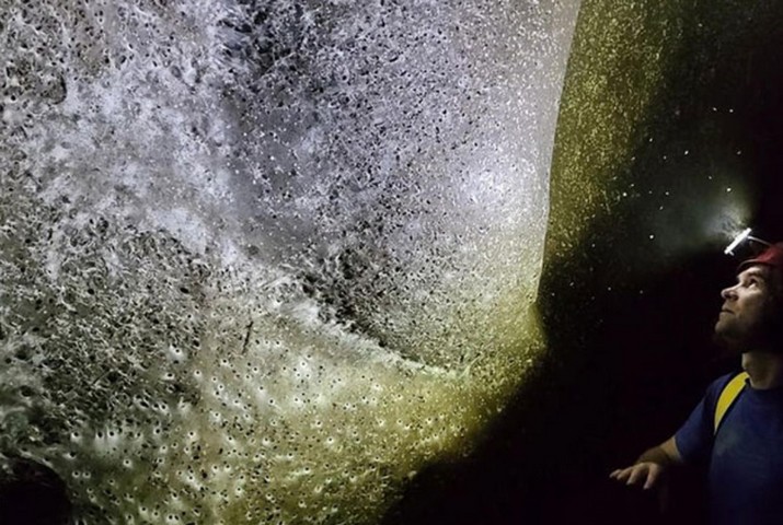 интересная находка под землей интересная находка под землей