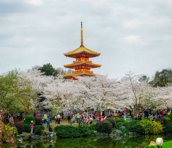 храм гуйюань в китае храм гуйюань в китае