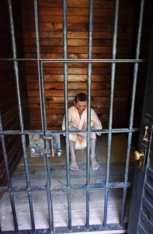 сиратори в клетке