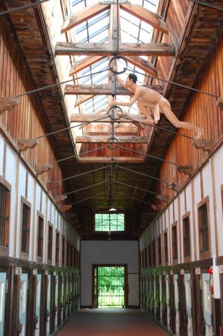 музейная экспозиция