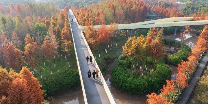 экологический коридор экологический коридор