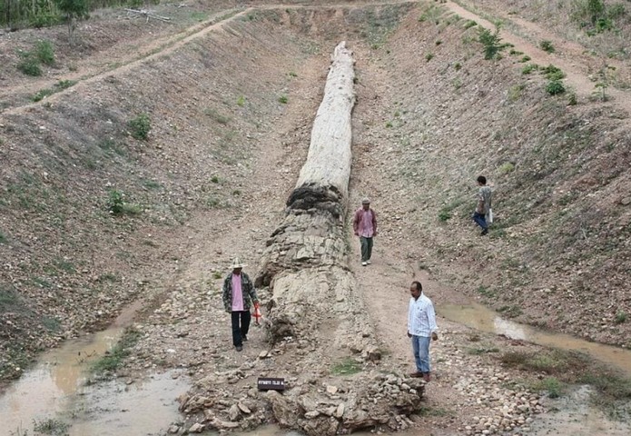 раскопки в процессе