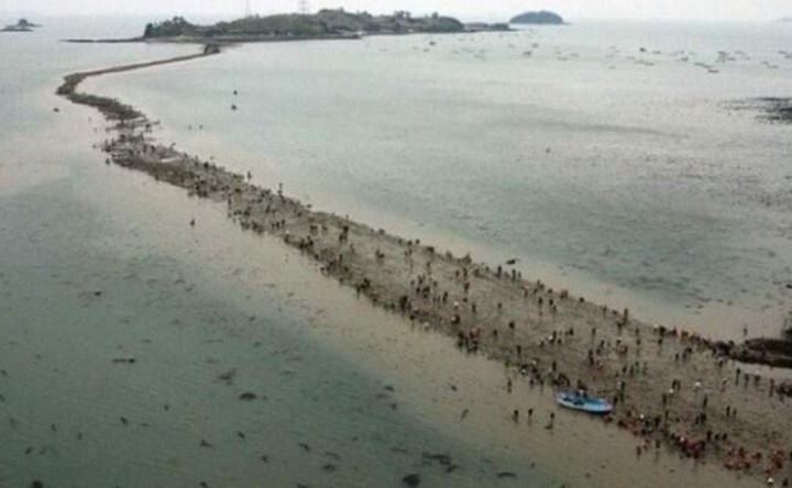 корейское чудо чиндо